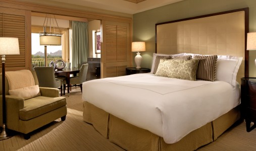 The Canyon Suites at The Phoenician - Photo #5