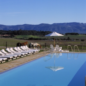 The Carneros Resort and Spa - Photo #8