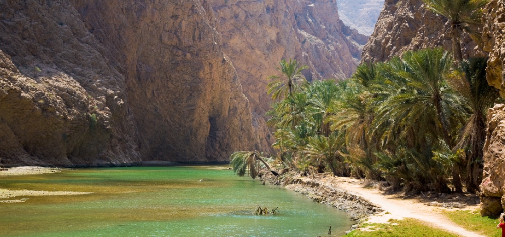 Discover Oman - Photo #14