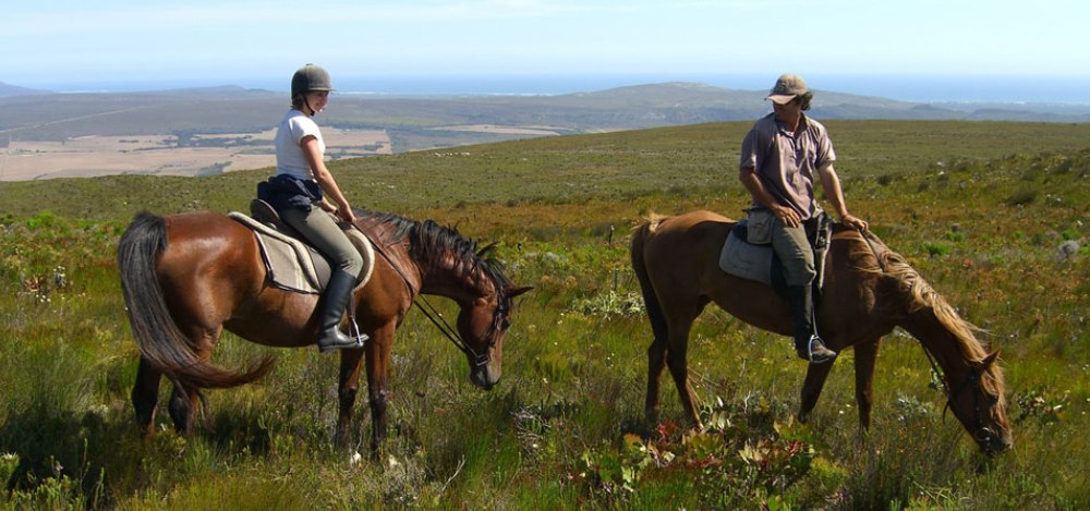 Lance's South African Hotel Experience  - Photo #6