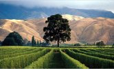 New Zealand