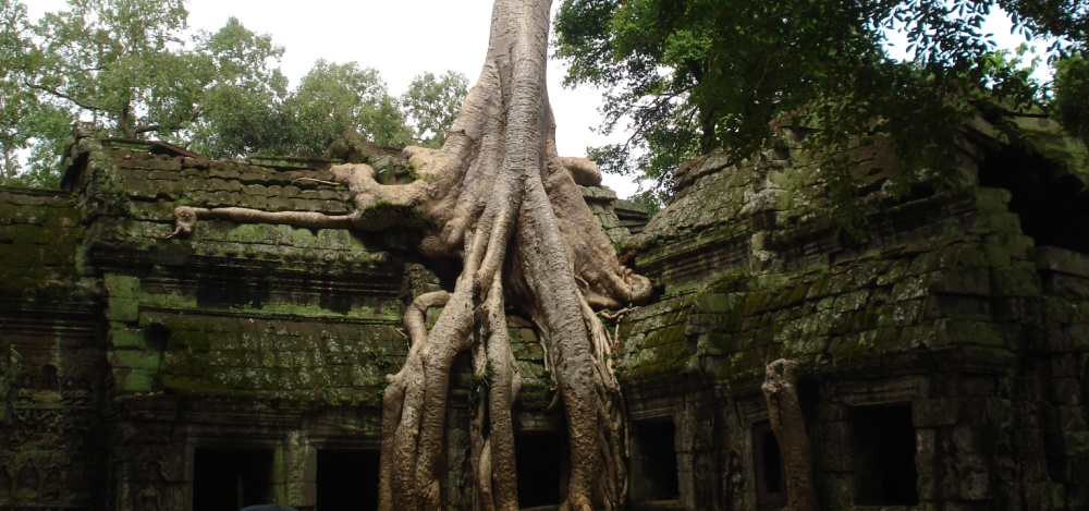 Vietnam & Cambodia - Photo #4