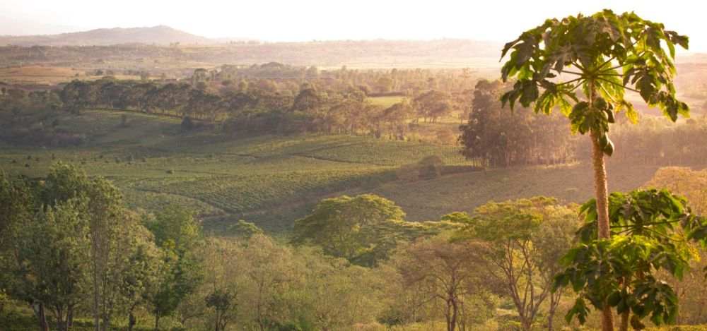 Gibb’s Farm 2 Tanzania - classictravel.com