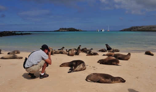 Pikaia Lodge - Photo #6