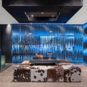 Hotel AC Baqueira Ski Resort Autograph Collection - Lobby - Book on ClassicTravel.com