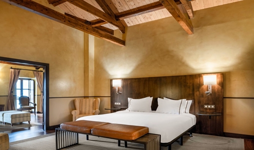Hotel Palacio del Carmen, Autograph Collection - Suite - Book on ClassicTravel.com
