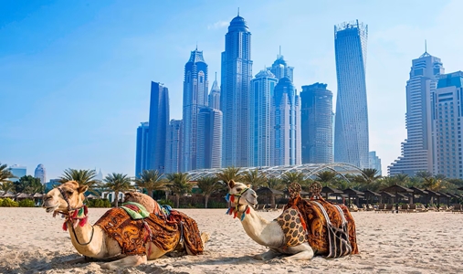 Al Habtoor Grand Resort, Autograph Collection - Camels - Book on ClassicTravel.com