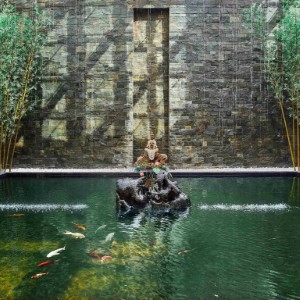 Banyan Tree Tianjin Riverside - Pond - Book on ClassicTravel.com