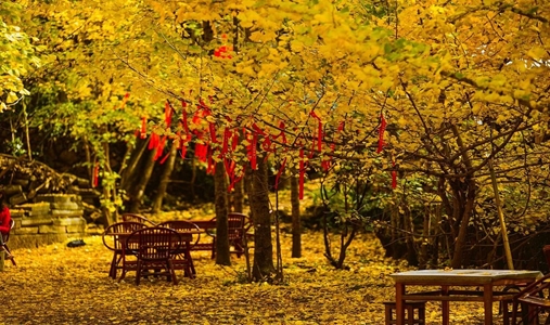 Banyan Tree Tengchong - Garden - Book on ClassicTravel.com
