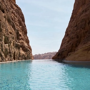 Banyan Tree AlUla