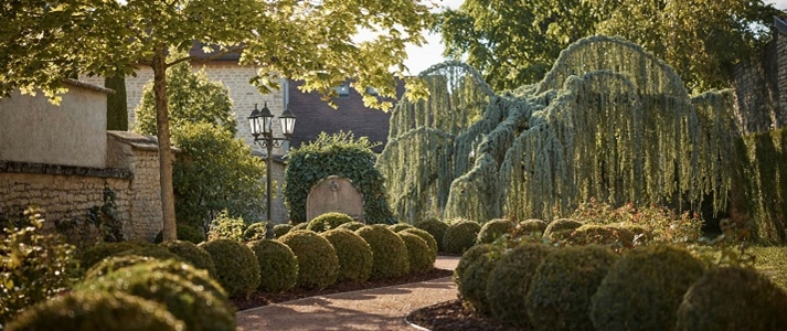 COMO Le Montrachet - Photo #2