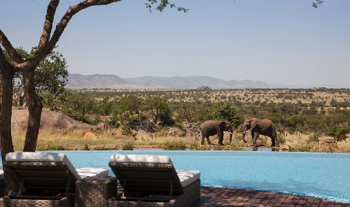 Four Seasons Serengeti - Photo #12