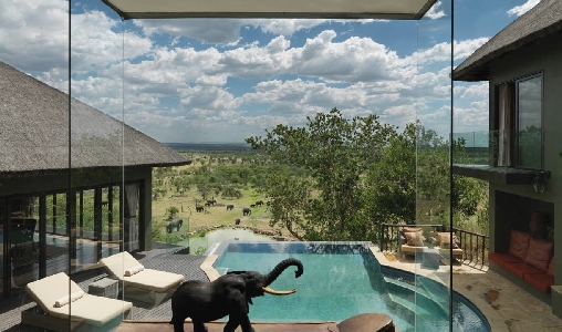 Four Seasons Serengeti - Photo #14