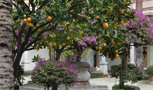 Four Seasons San Domenico Palace - Photo #4