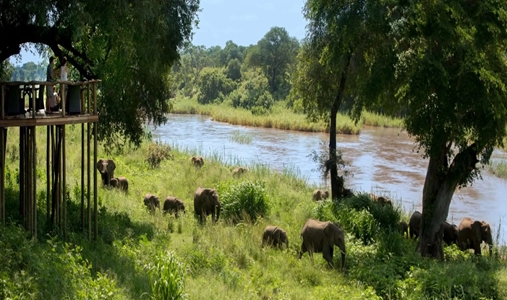 Lion Sands River Lodge - Narina Lodge Guest Area - Book on ClassicTravel.com