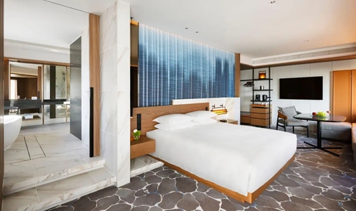Hyatt Regency Tokyo - Corner Studio - Book on ClassicTravel.com