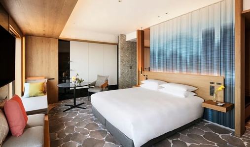Hyatt Regency Tokyo - Park View Studio - Book on ClassicTravel.com