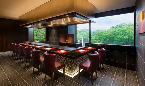 Hyatt Regency Tokyo - Teppanyaki Grill - Book on ClassicTravel.com