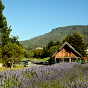 Carmel Valley Ranch