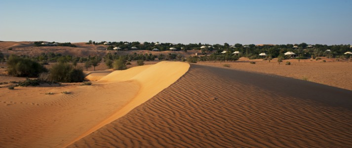 Al Maha Desert Resort & Spa - Photo #15