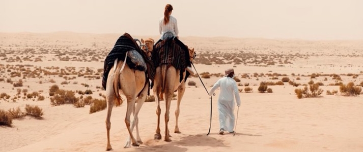 Al Wathba, a Luxury Collection Desert Resort & Spa - Camel Ride - Book on ClassicTravel.com