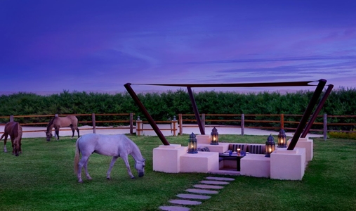 Al Wathba, a Luxury Collection Desert Resort & Spa - Horses - Book on ClassicTravel.com