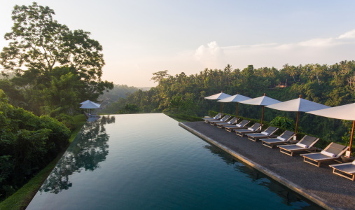 Alila Ubud - Photo #6