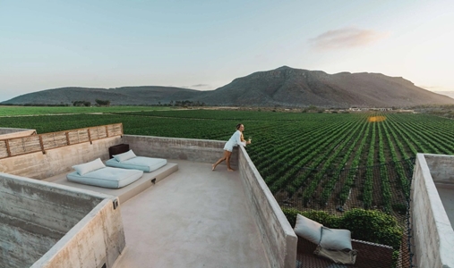 Paradero Todos Santos - Mountain Sky Suite - Book on ClassicTravel.com
