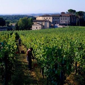 Castel Monastero - Photo #6