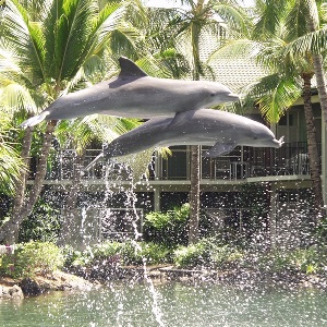 The Kahala Hotel and Resort - Photo #10