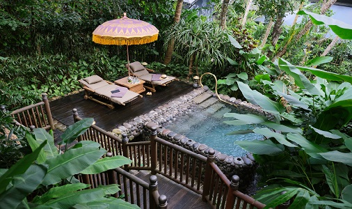 Capella Ubud - Photo #9