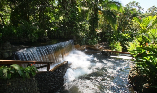 Tabacon Grand Spa Thermal Resort - Photo #4