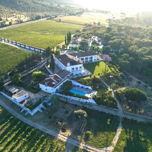 Hotel Casa Palmela - House Gardens