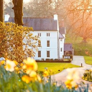 Grove of Narberth - Exterior