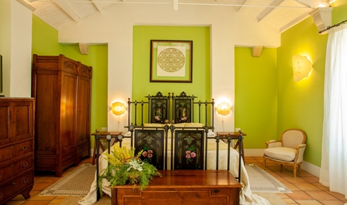 Naturalis Bio Resort and Spa - Aloe Junior Suite Deluxe