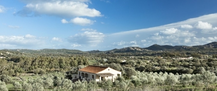 Cascioni Eco Retreat - Olive Grove - Book on ClassicTravel.com