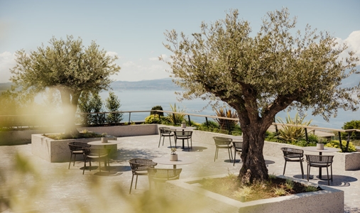 Cape of Senses - Olive Terrace - Book on ClassicTravel.com