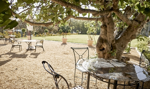 Le Mas Barossa - The Fig Terrace - Book on ClassicTravel.com