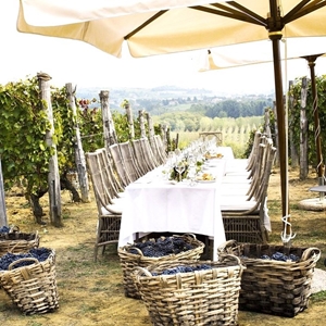Villa La Madonna - Table in the Vineyard