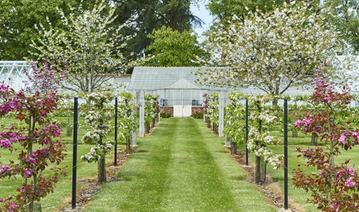 Tylney Hall Hotel and Gardens - Green House