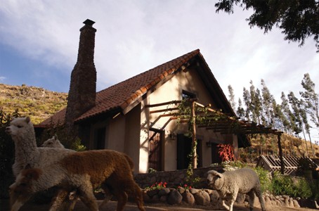 Belmond Las Casitas del Colca - Photo #9