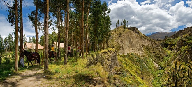 Belmond Las Casitas del Colca - Photo #10