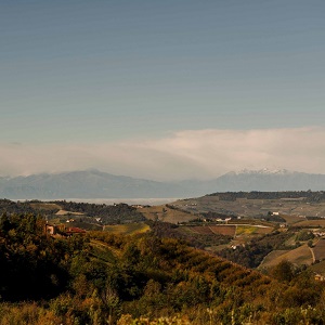 Casa Di Langa View