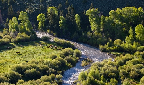 The Lodge and Spa at Brush Creek Ranch - Photo #9