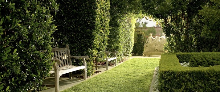 classic-travel-com-rancho-bernardo-garden