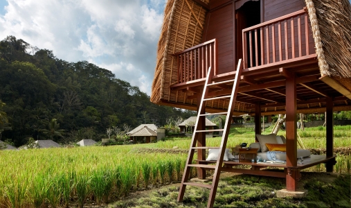 Mandapa, A Ritz-Carlton Reserve - Photo #10