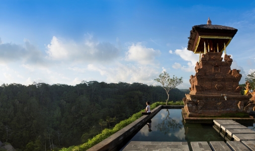 Mandapa, A Ritz-Carlton Reserve - Photo #7