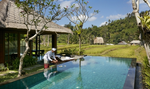 Mandapa, A Ritz-Carlton Reserve - Photo #8