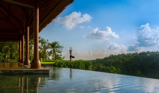 Mandapa, A Ritz-Carlton Reserve - Photo #12