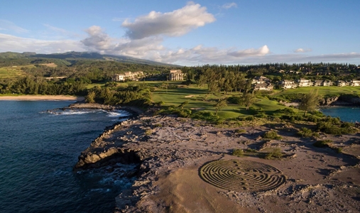 The Ritz-Carlton Kapalua - Photo #21